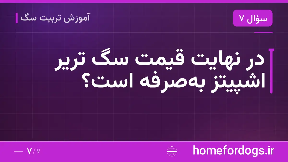 در نهایت قیمت سگ تریر اشپیتز به‌صرفه است؟