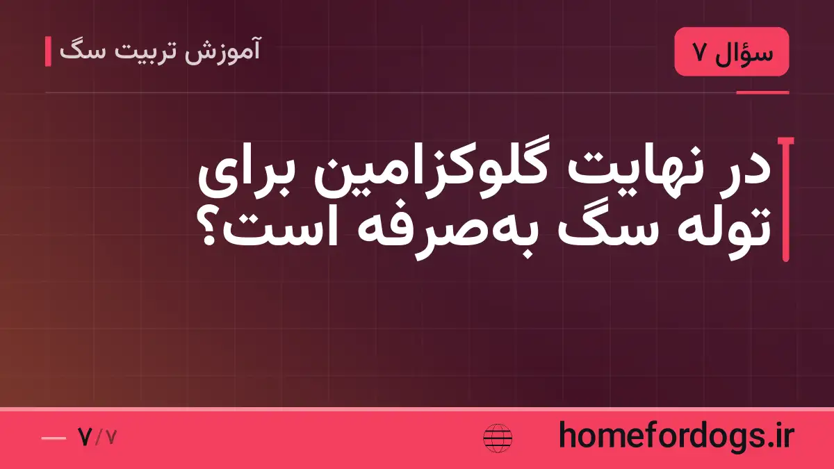 در نهایت گلوکزامین برای توله سگ به‌صرفه است؟