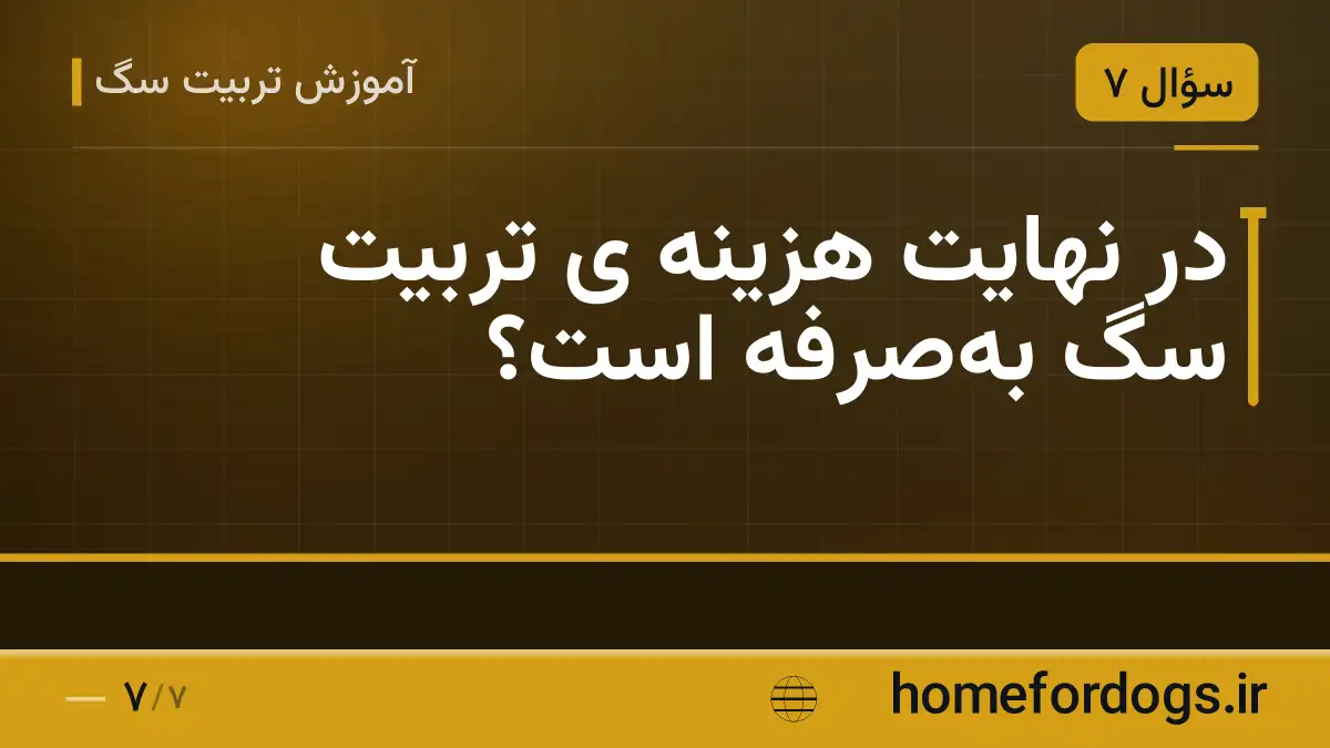 در نهایت هزینه ی تربیت سگ به‌صرفه است؟