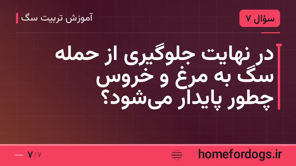 در نهایت جلوگیری از حمله سگ به مرغ و خروس چطور پایدار میشود؟