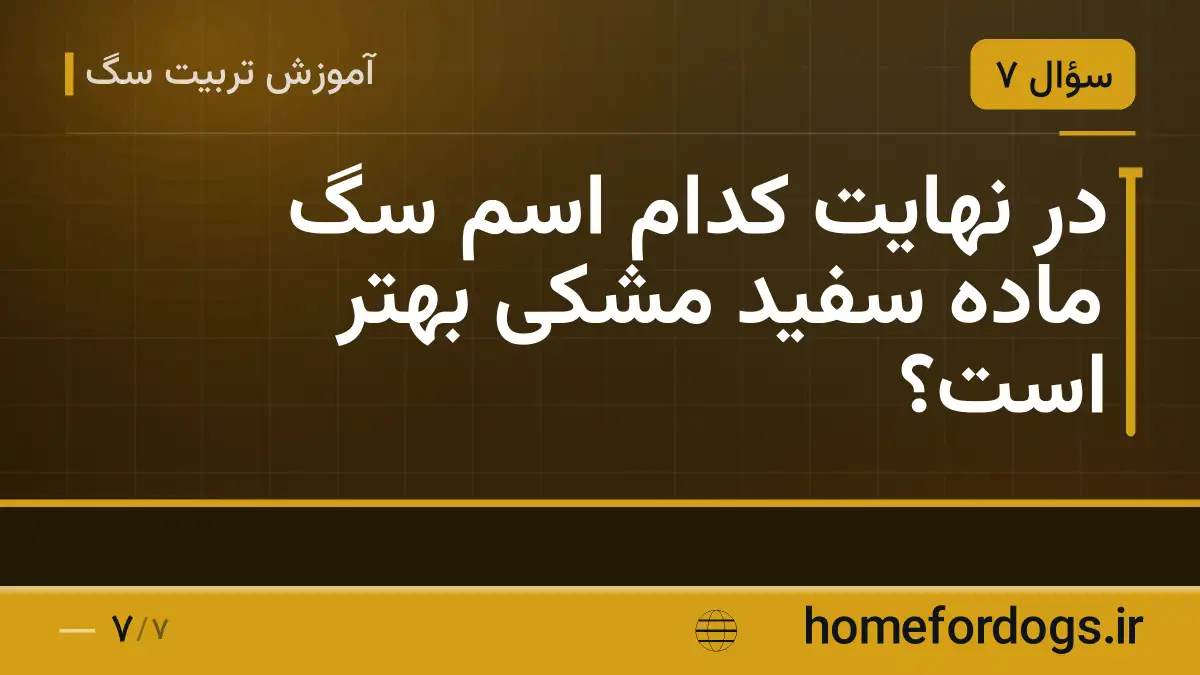 در نهایت کدام اسم سگ ماده سفید مشکی بهتر است؟