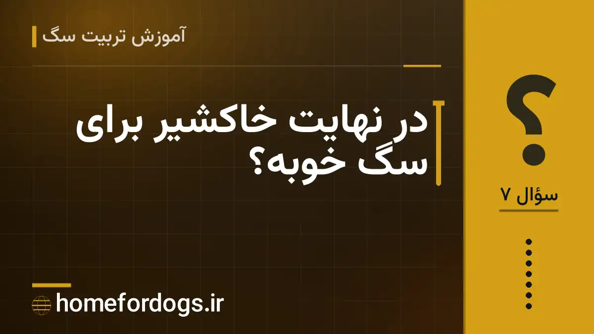 در نهایت خاکشیر برای سگ خوبه؟