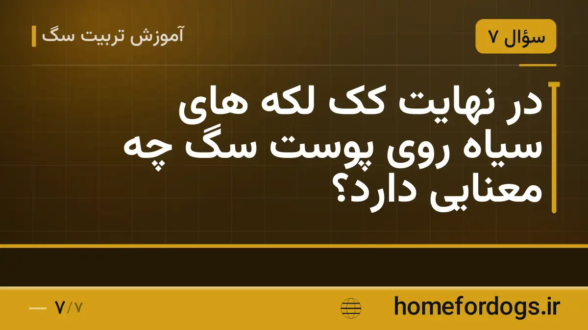 در نهایت کک لکه های سیاه روی پوست سگ چه معنایی دارد؟