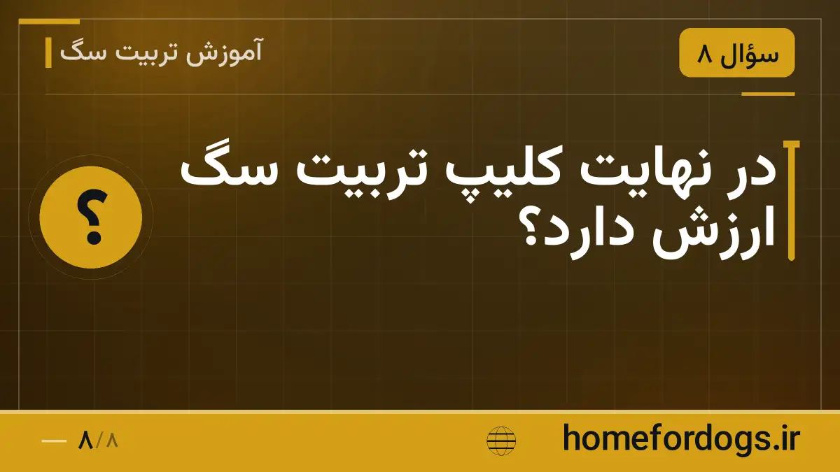 در نهایت کلیپ تربیت سگ ارزش دارد؟