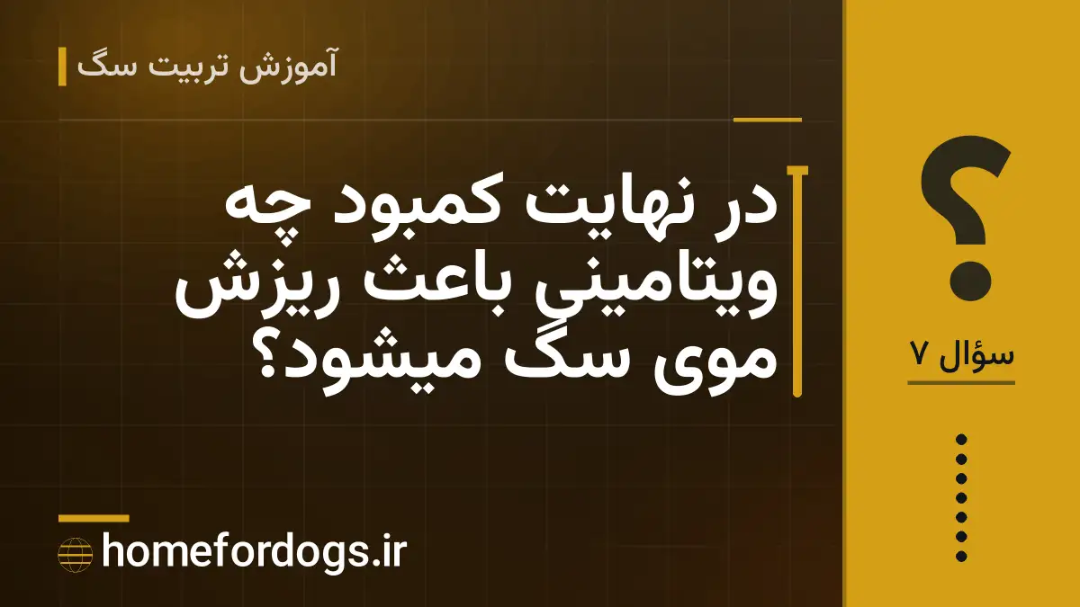 در نهایت کمبود چه ویتامینی باعث ریزش موی سگ میشود؟