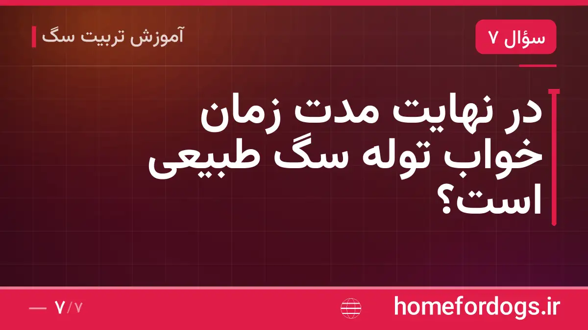 در نهایت مدت زمان خواب توله سگ طبیعی است؟
