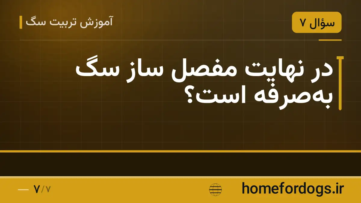 در نهایت مفصل ساز سگ به‌صرفه است؟