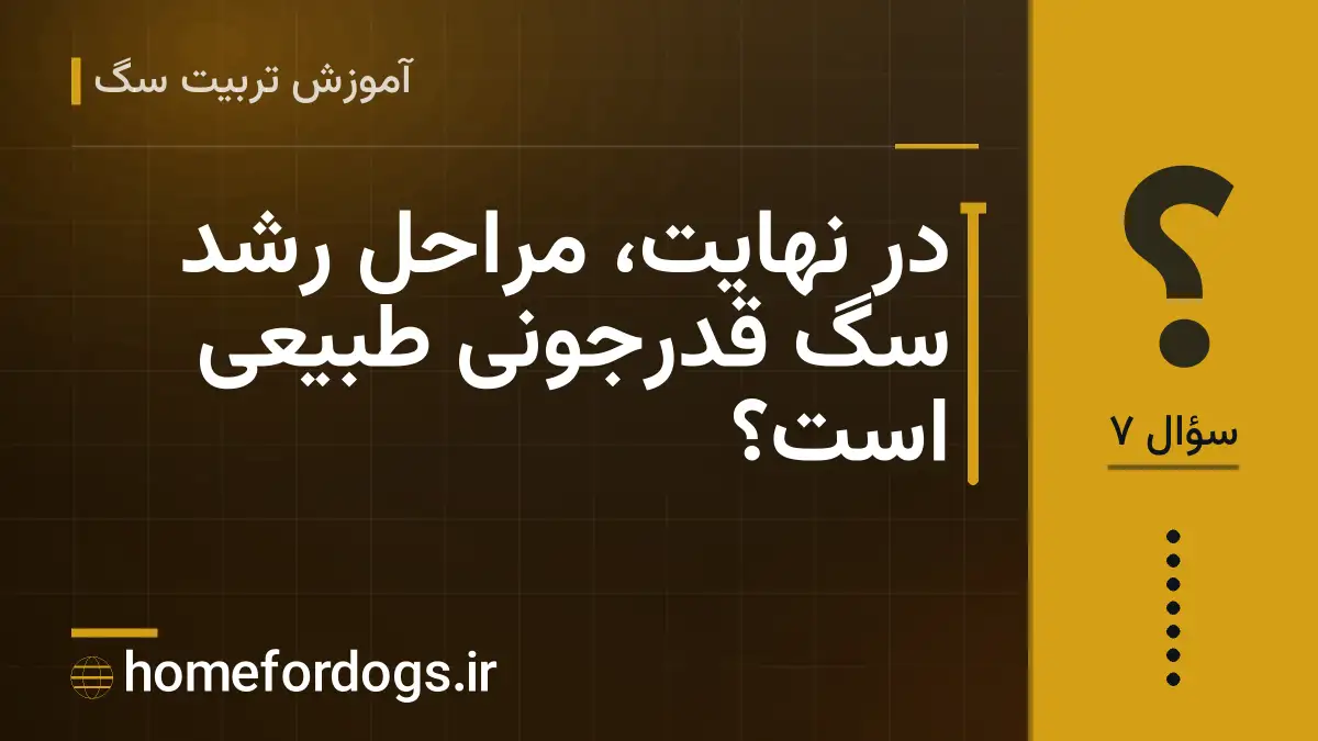 در نهایت، مراحل رشد سگ قدرجونی طبیعی است؟