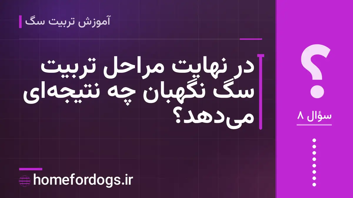 در نهایت مراحل تربیت سگ نگهبان چه نتیجهای میدهد؟