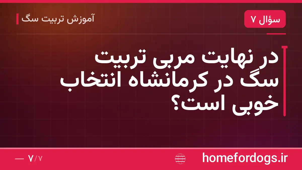 در نهایت مربی تربیت سگ در کرمانشاه انتخاب خوبی است؟