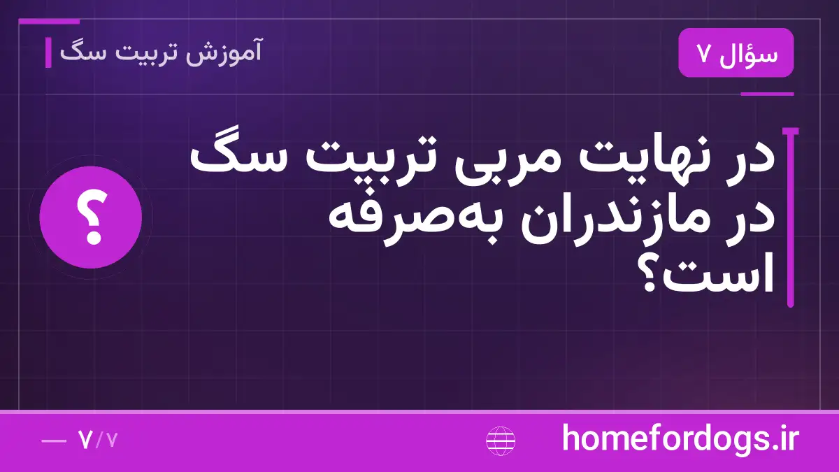 در نهایت مربی تربیت سگ در مازندران به‌صرفه است؟
