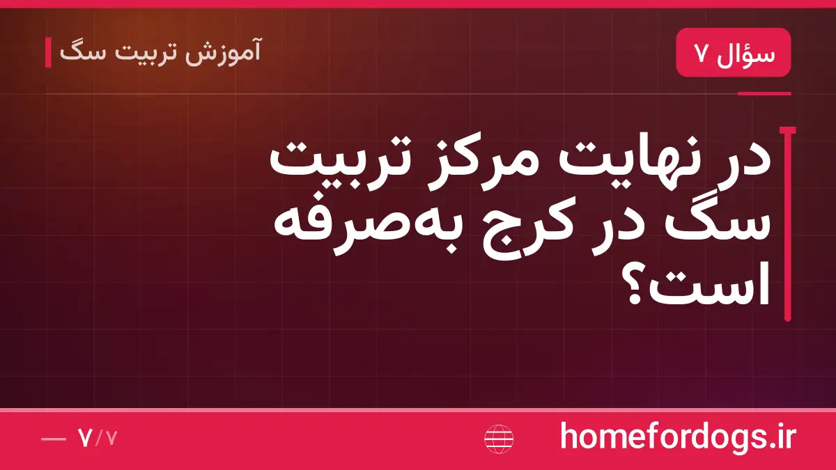 در نهایت مرکز تربیت سگ در کرج بهصرفه است؟