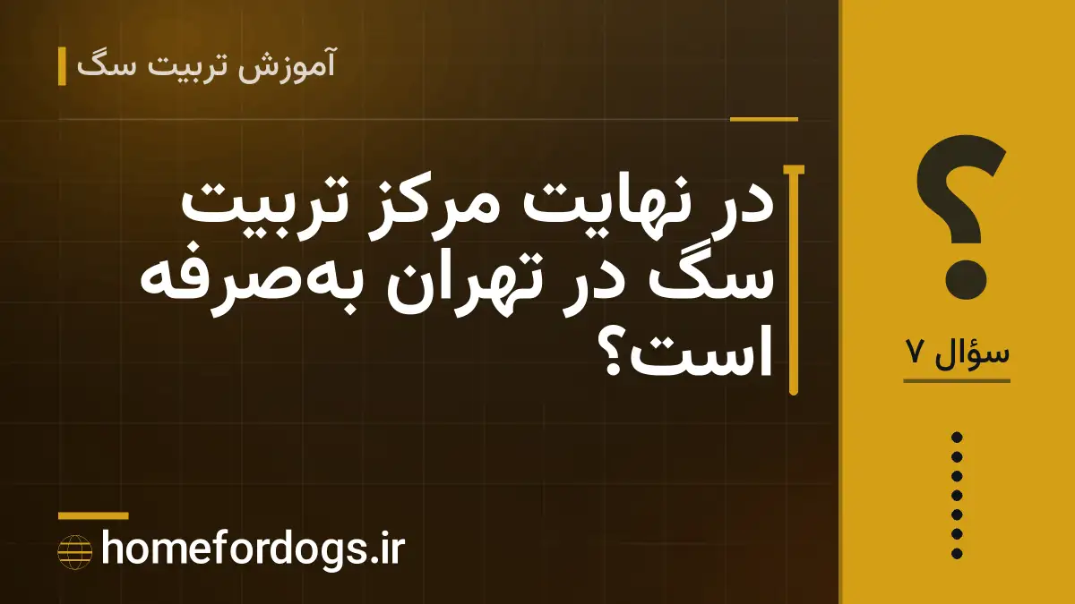 در نهایت مرکز تربیت سگ در تهران بهصرفه است؟