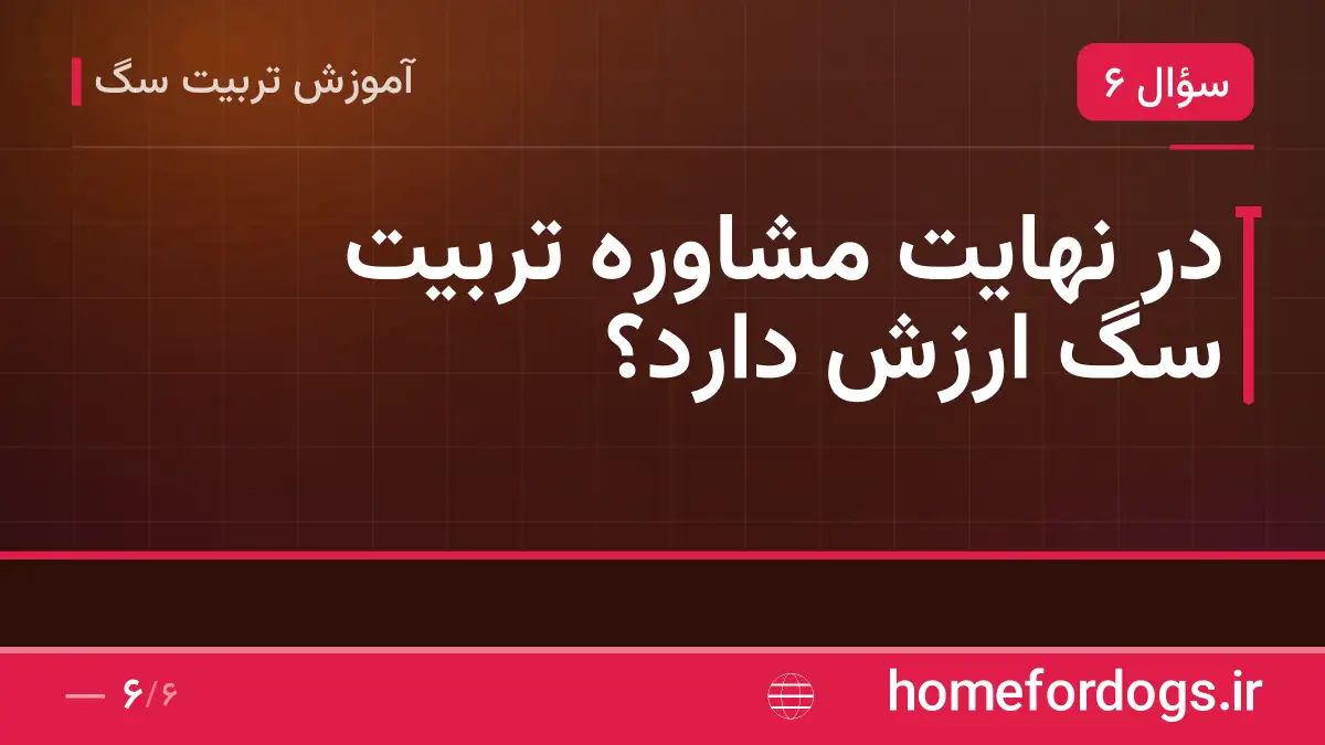 در نهایت مشاوره تربیت سگ ارزش دارد؟