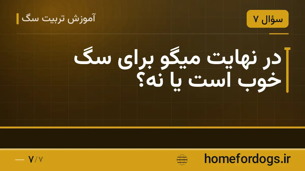 در نهایت میگو برای سگ خوب است یا نه؟