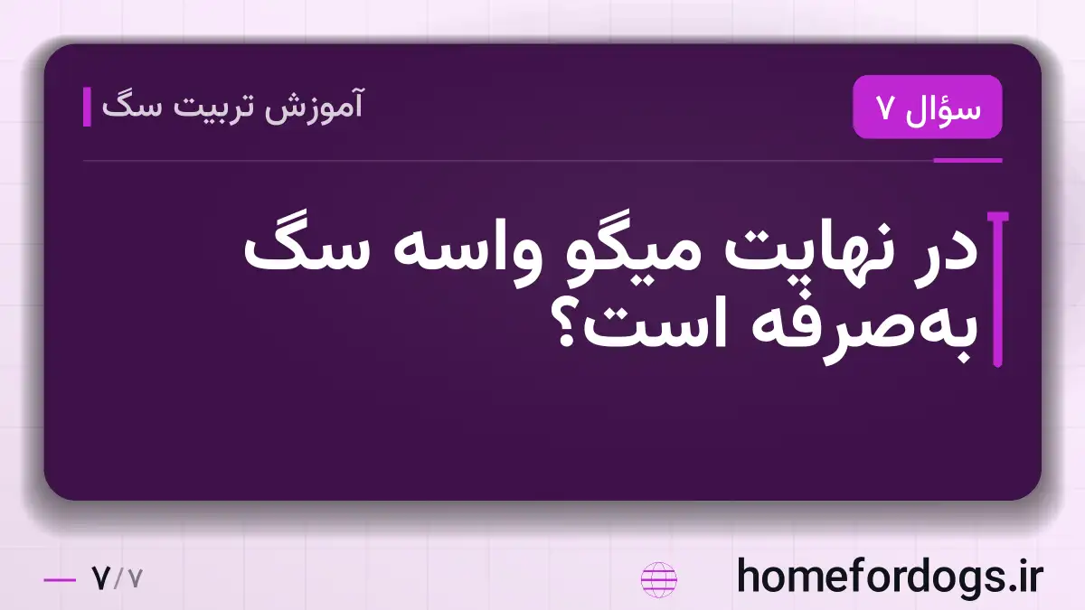 در نهایت میگو واسه سگ به‌صرفه است؟
