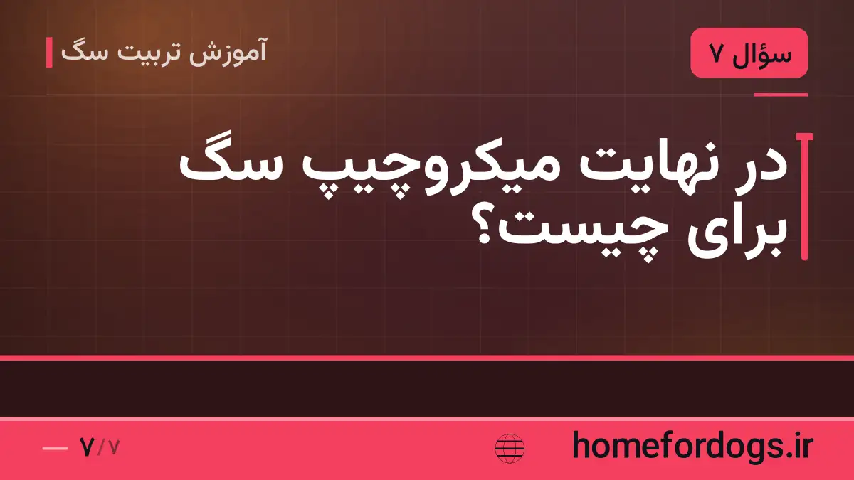 در نهایت میکروچیپ سگ برای چیست؟