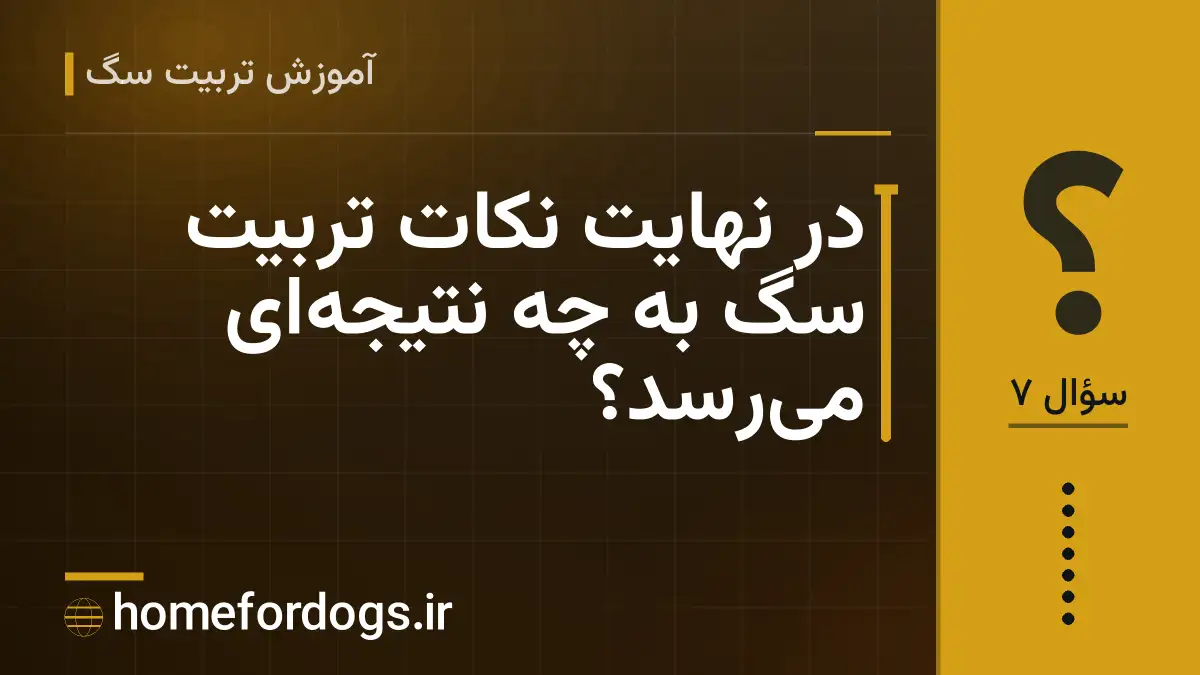 در نهایت نکات تربیت سگ به چه نتیجه‌ای می‌رسد؟