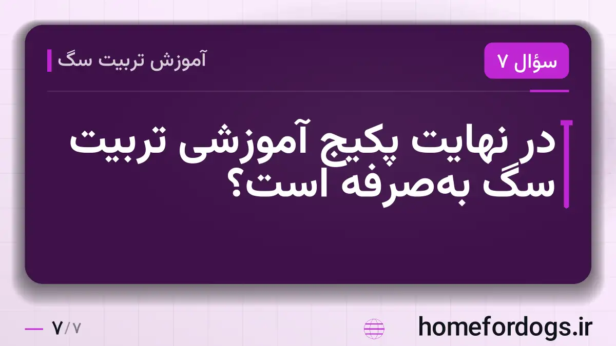 در نهایت پکیج آموزشی تربیت سگ بهصرفه است؟