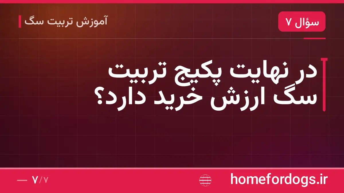 در نهایت پکیج تربیت سگ ارزش خرید دارد؟