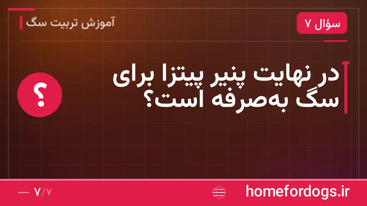 در نهایت پنیر پیتزا برای سگ بهصرفه است؟