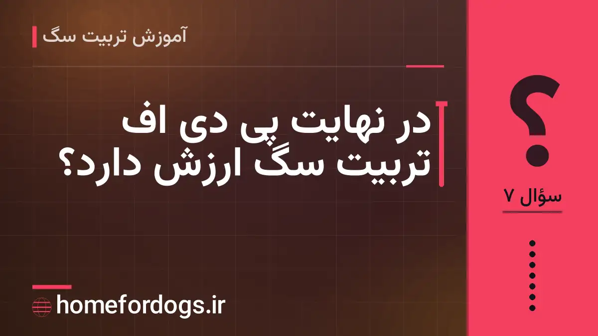 در نهایت پی دی اف تربیت سگ ارزش دارد؟