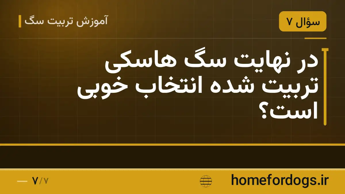 در نهایت سگ هاسکی تربیت شده انتخاب خوبی است؟