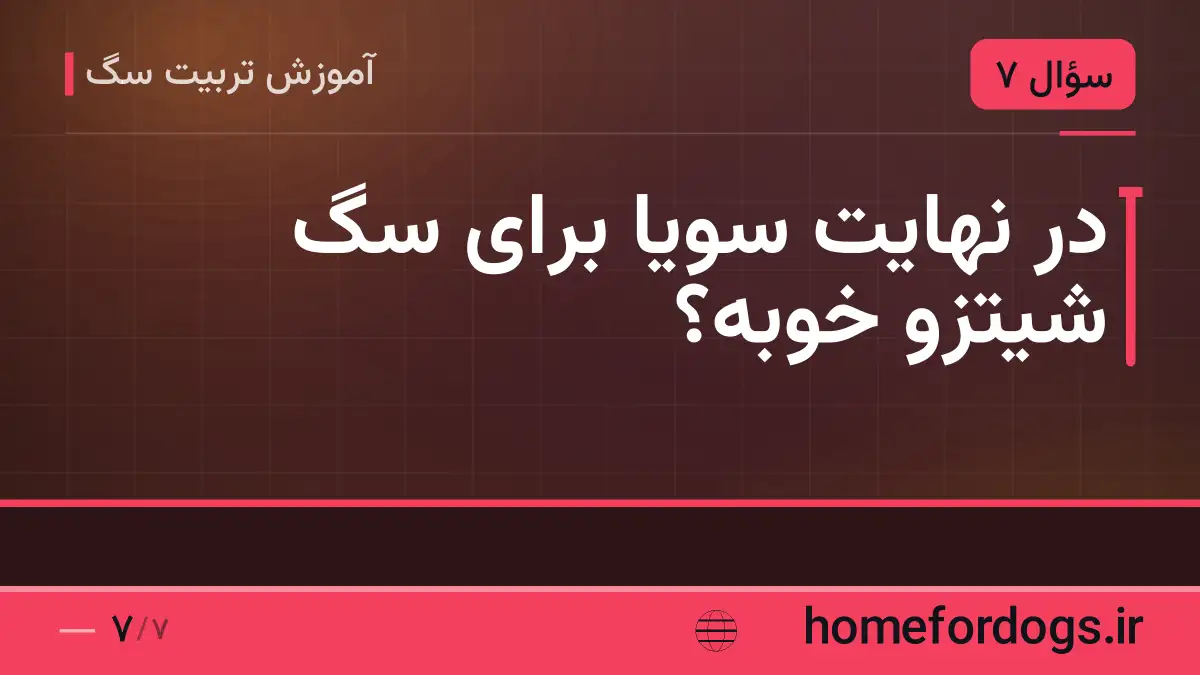 در نهایت سویا برای سگ شیتزو خوبه؟