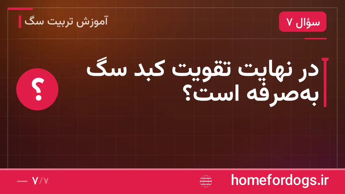 در نهایت تقویت کبد سگ به‌صرفه است؟
