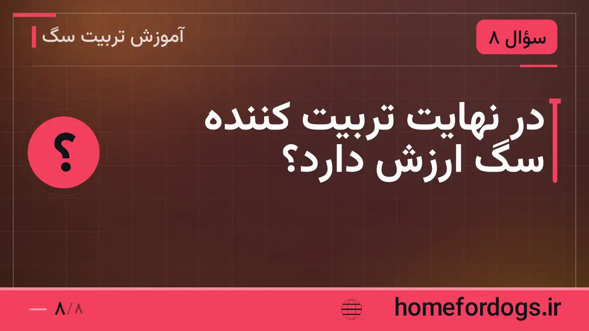 در نهایت تربیت کننده سگ ارزش دارد؟