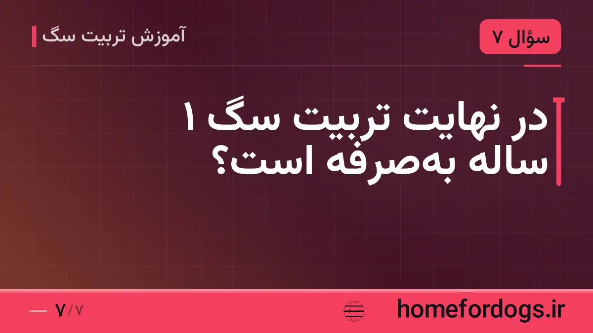 در نهایت تربیت سگ 1 ساله بهصرفه است؟