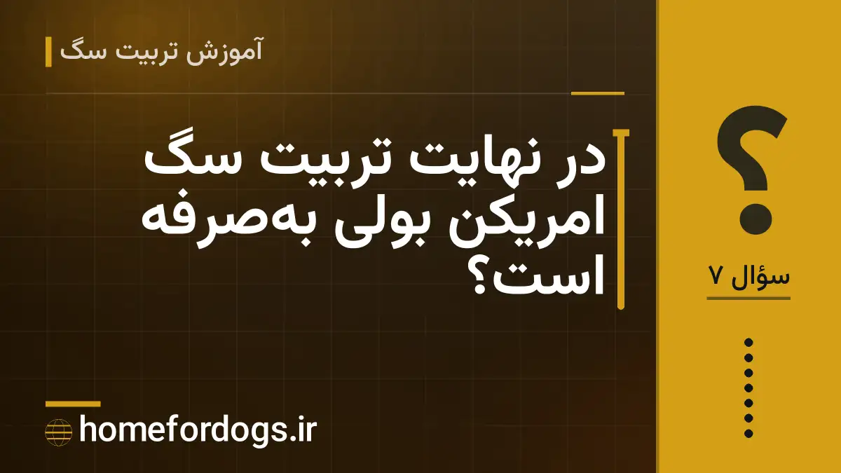 در نهایت تربیت سگ امریکن بولی به‌صرفه است؟