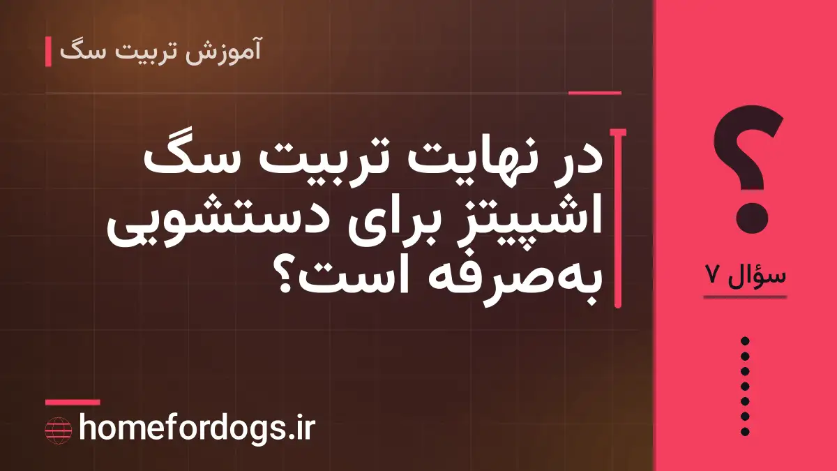 در نهایت تربیت سگ اشپیتز برای دستشویی به‌صرفه است؟