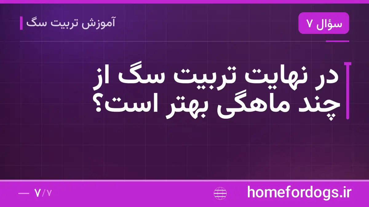 در نهایت تربیت سگ از چند ماهگی بهتر است؟