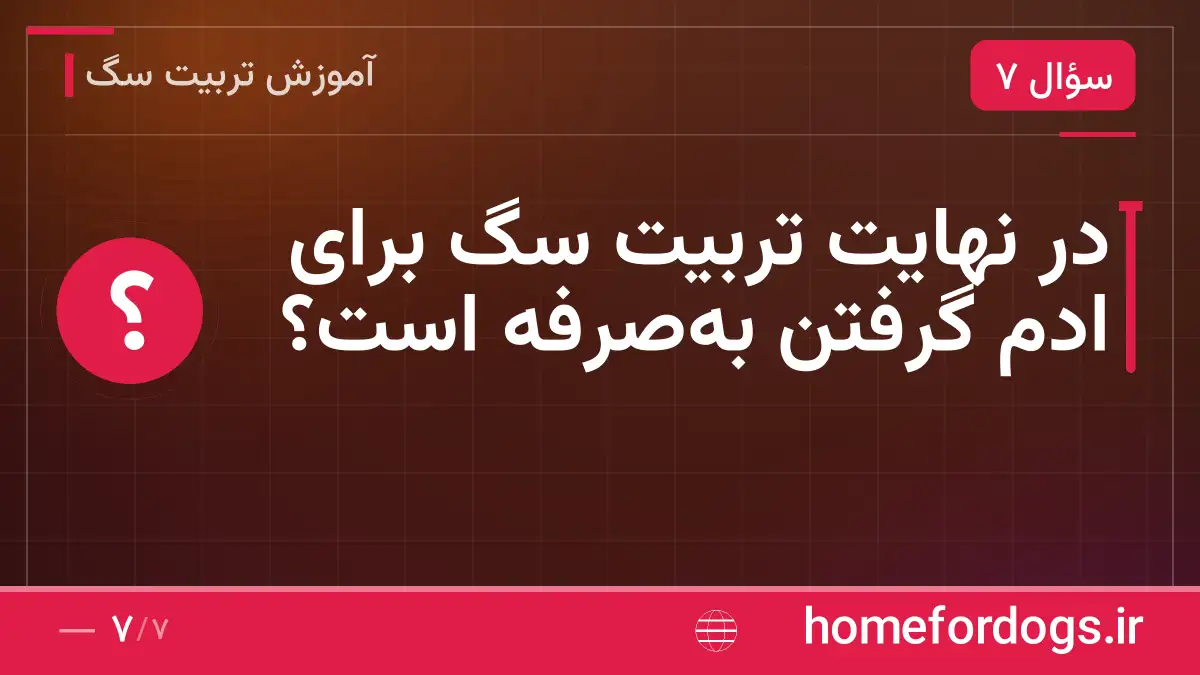 در نهایت تربیت سگ برای ادم گرفتن به‌صرفه است؟