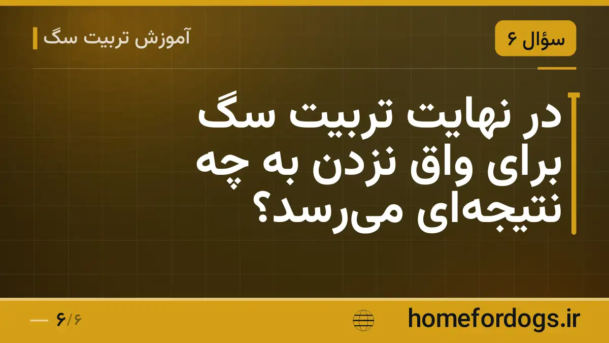 در نهایت تربیت سگ برای واق نزدن به چه نتیجه‌ای می‌رسد؟
