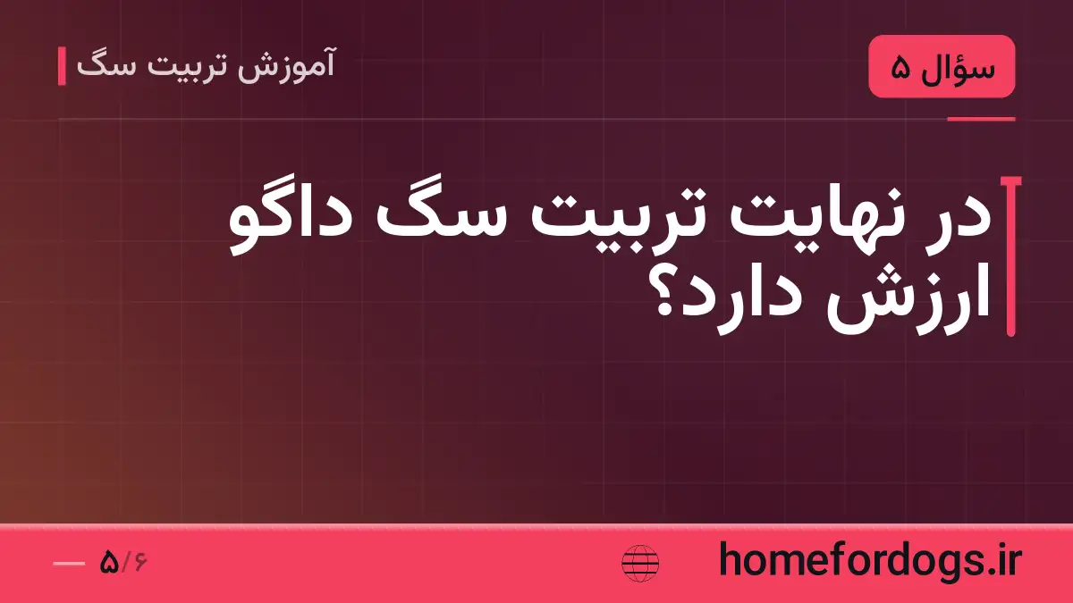 در نهایت تربیت سگ داگو ارزش دارد؟