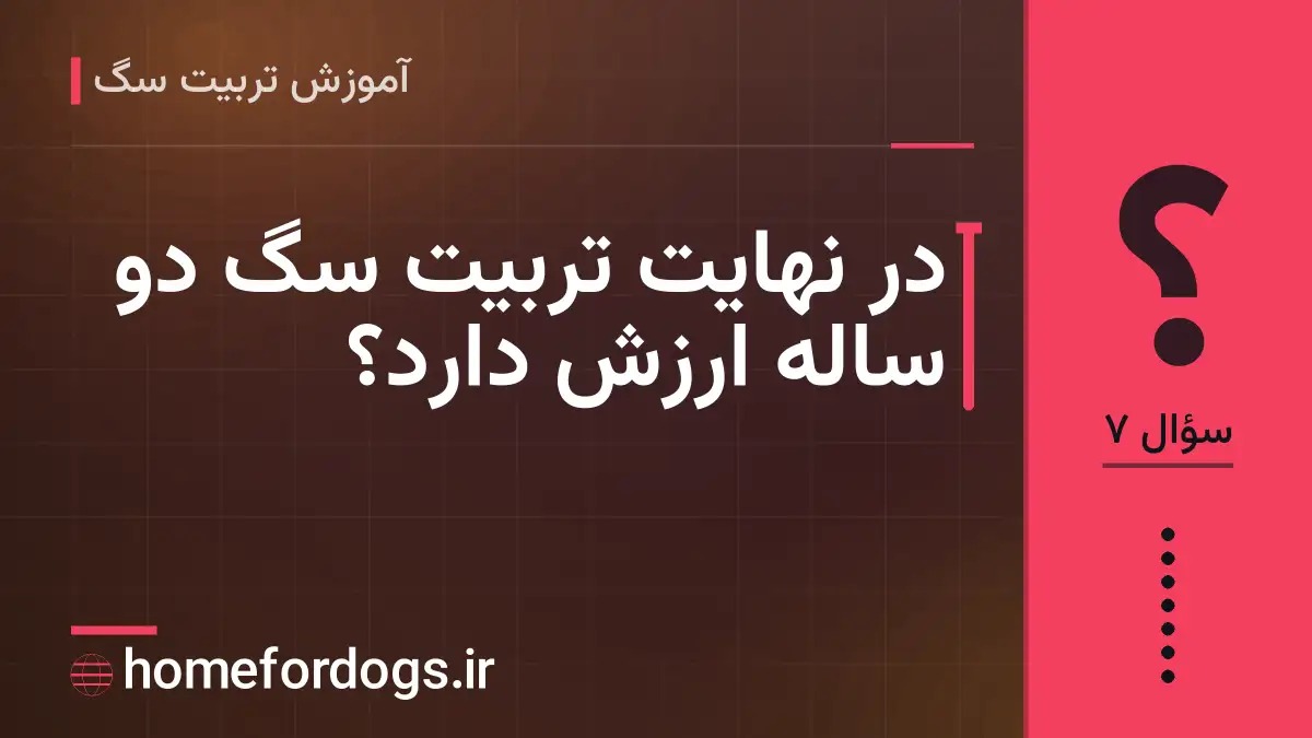 در نهایت تربیت سگ دو ساله ارزش دارد؟