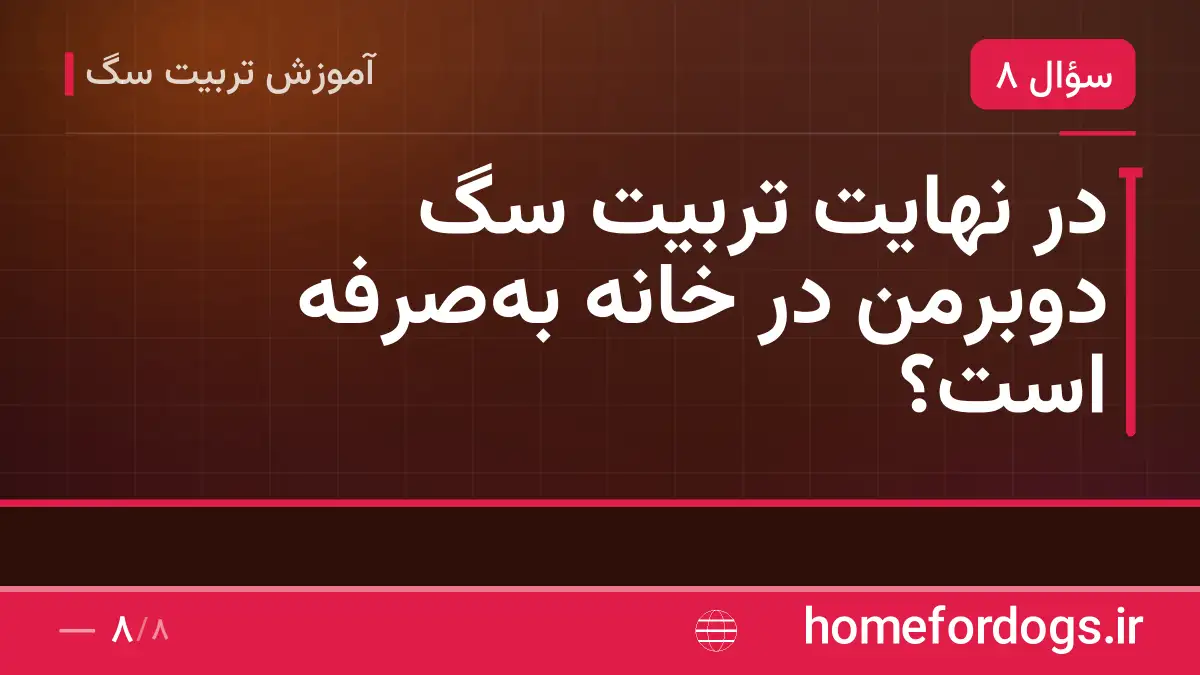 در نهایت تربیت سگ دوبرمن در خانه بهصرفه است؟