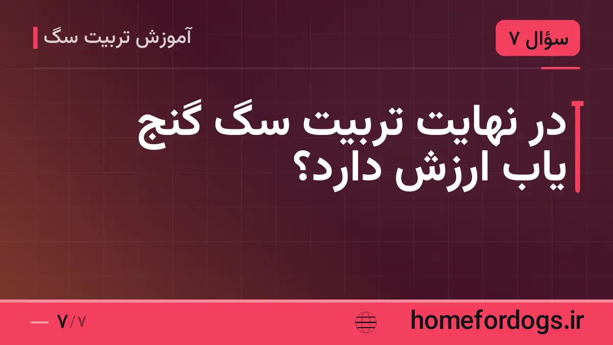 در نهایت تربیت سگ گنج یاب ارزش دارد؟