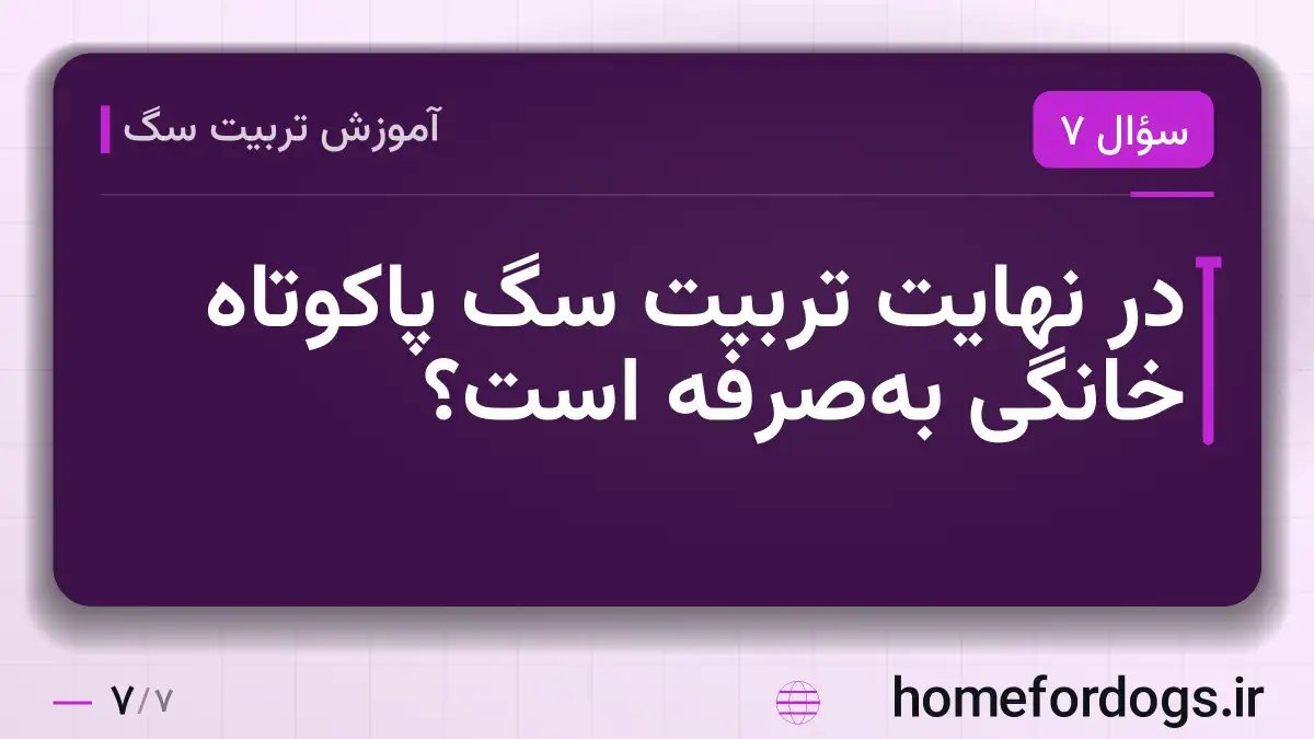 در نهایت تربیت سگ پاکوتاه خانگی به‌صرفه است؟