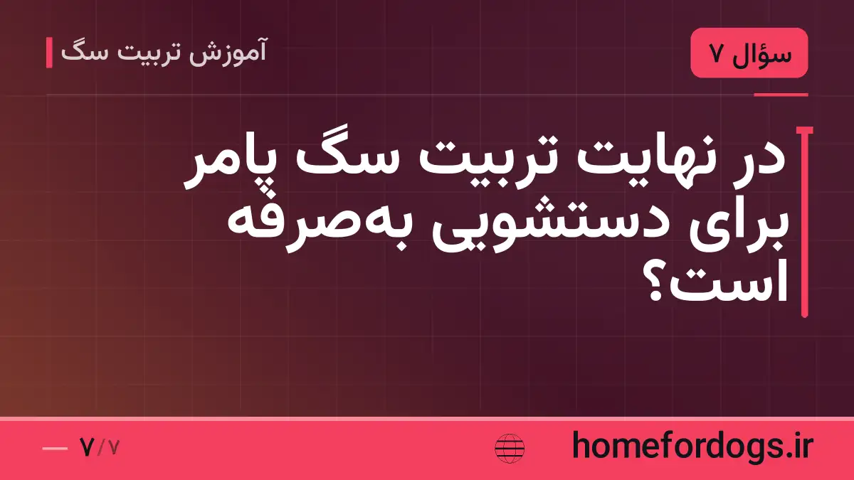 در نهایت تربیت سگ پامر برای دستشویی به‌صرفه است؟