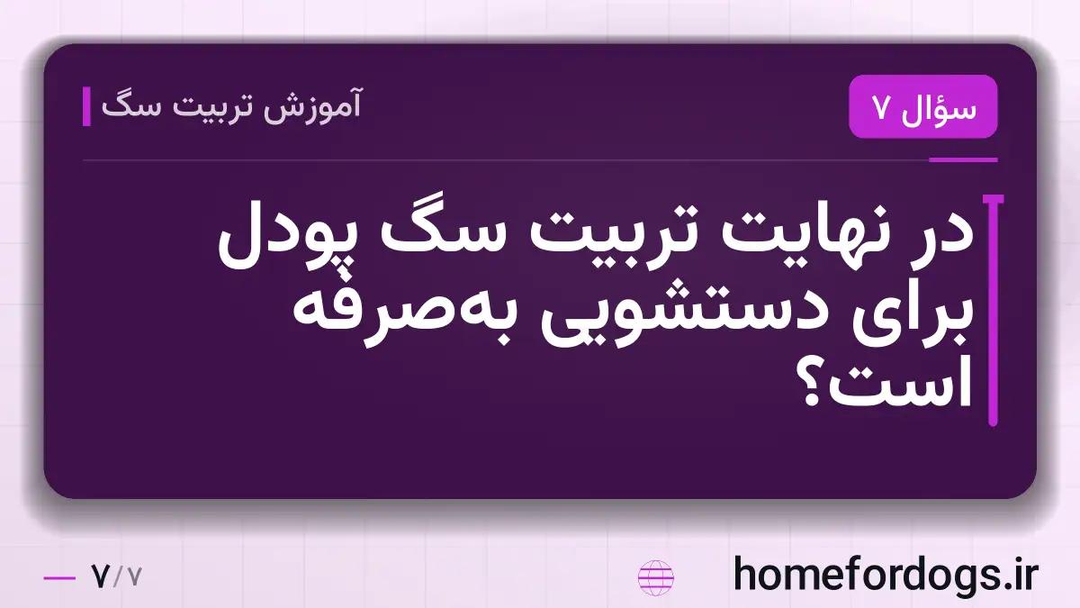 در نهایت تربیت سگ پودل برای دستشویی به‌صرفه است؟