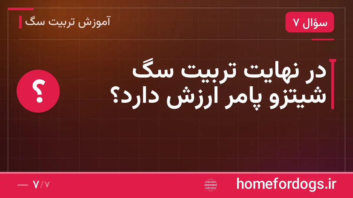 در نهایت تربیت سگ شیتزو پامر ارزش دارد؟