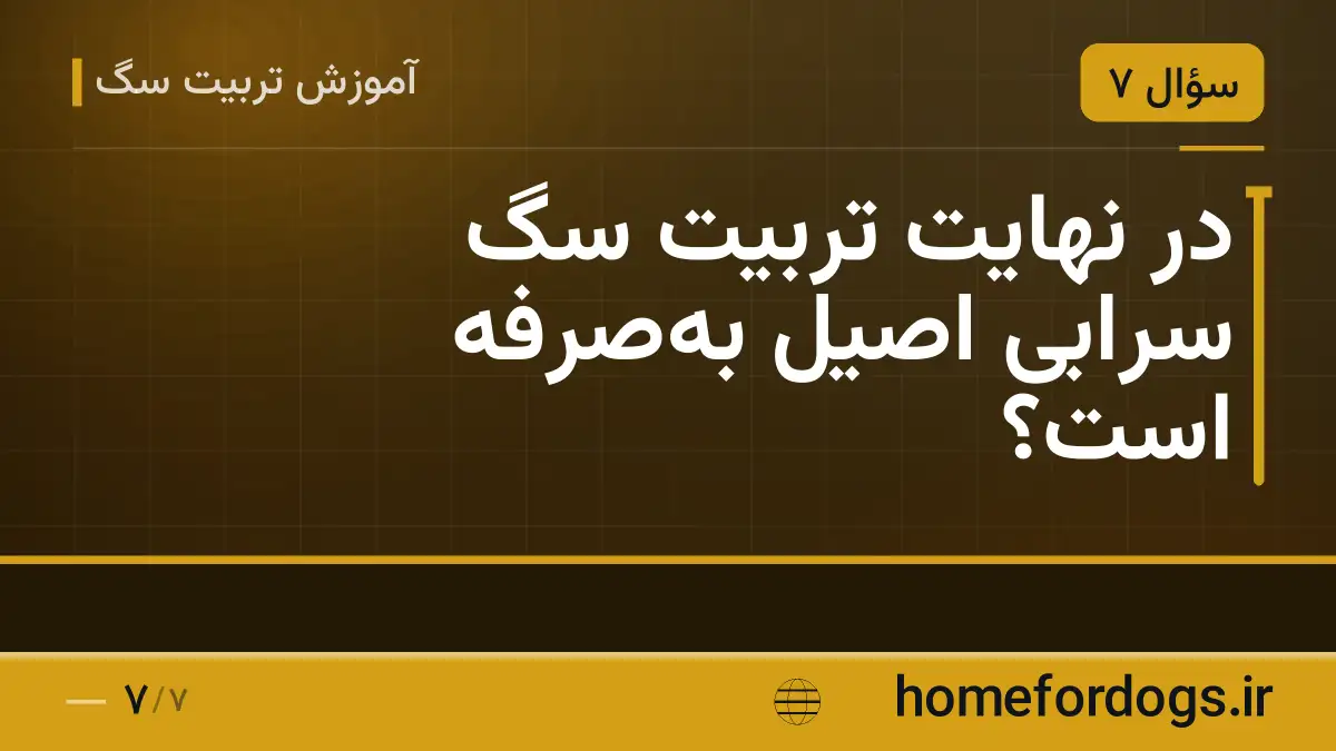 در نهایت تربیت سگ سرابی اصیل بهصرفه است؟