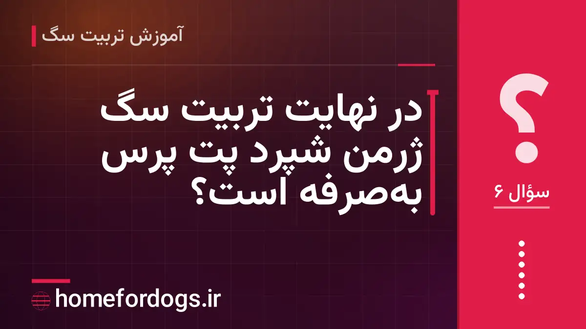در نهایت تربیت سگ ژرمن شپرد پت پرس بهصرفه است؟