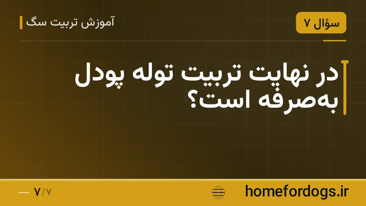در نهایت تربیت توله پودل بهصرفه است؟