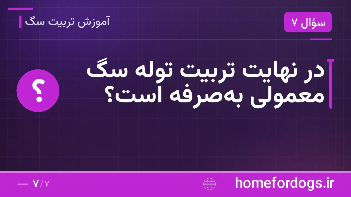در نهایت تربیت توله سگ معمولی بهصرفه است؟