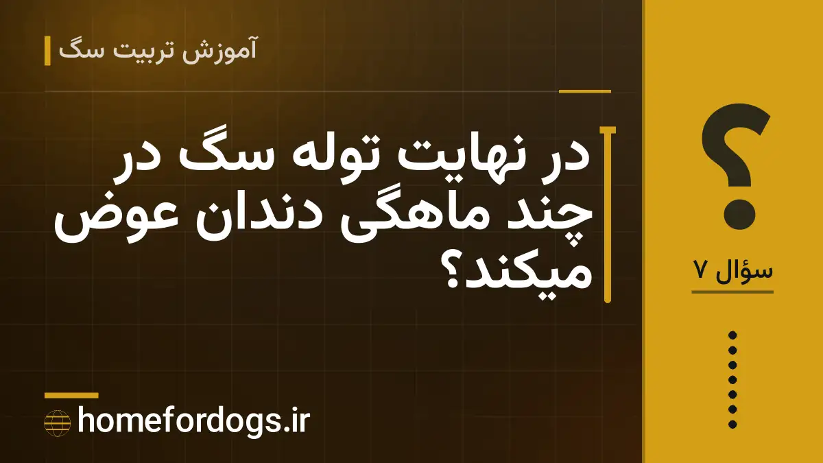 در نهایت توله سگ در چند ماهگی دندان عوض میکند؟