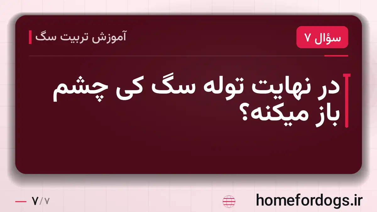 در نهایت توله سگ کی چشم باز میکنه؟